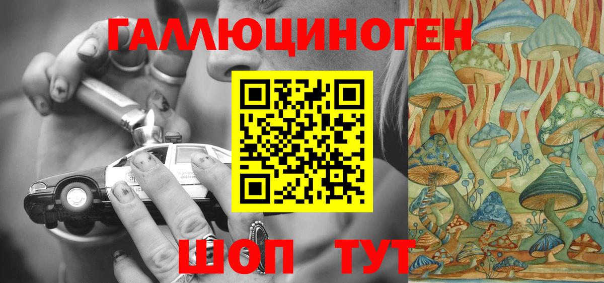 Назрань  Псилоцибиновые грибы GOLDEN TEACHER  Галлюциногенные грибы Psilocybine cubensis  Вход с VPN 